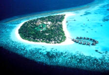 Отель Coco Palm Resort & Spa Делюкс+, Мальдивы