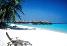 Отель Coco Palm Resort & Spa Делюкс+, Мальдивы