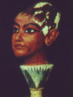 ������� ���� ����