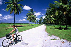 Отель Equator Village Стандарт, Мальдивы