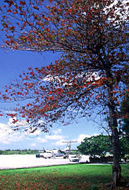 Отель Equator Village Стандарт, Мальдивы