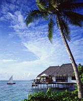 Отель Four Seasons Resort Делюкс+, Мальдивы