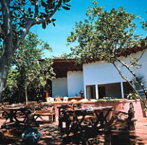 Отель Reethi Beach Resort Делюкс, Мальдивы
