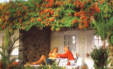 Sandals Halcyon Beach / Сандалс Гальсион Бич, остров Сент-Люсия, Карибы Sandals Halcyon Beach / Сандалс Гальсион Бич, остров Сент-Люсия, Карибы